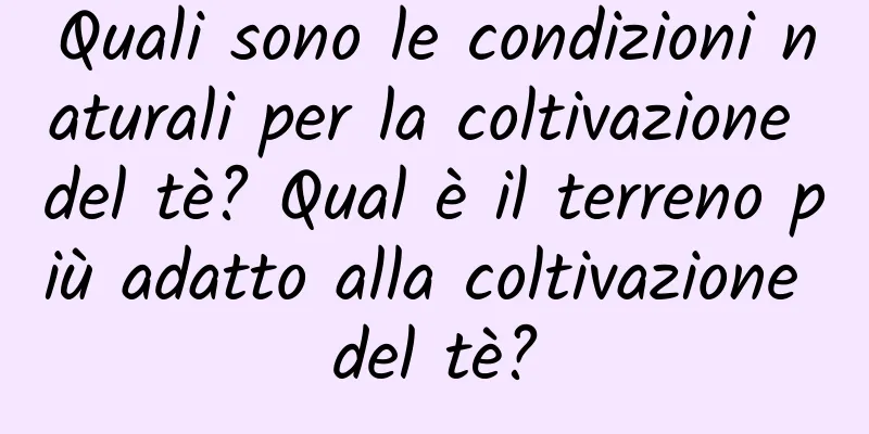 Quali sono le condizioni naturali per la coltivazione del tè? Qual è il terreno più adatto alla coltivazione del tè?