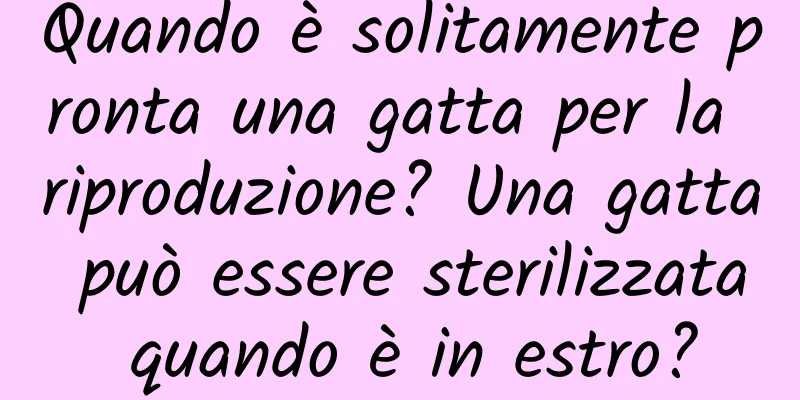 Quando è solitamente pronta una gatta per la riproduzione? Una gatta può essere sterilizzata quando è in estro?