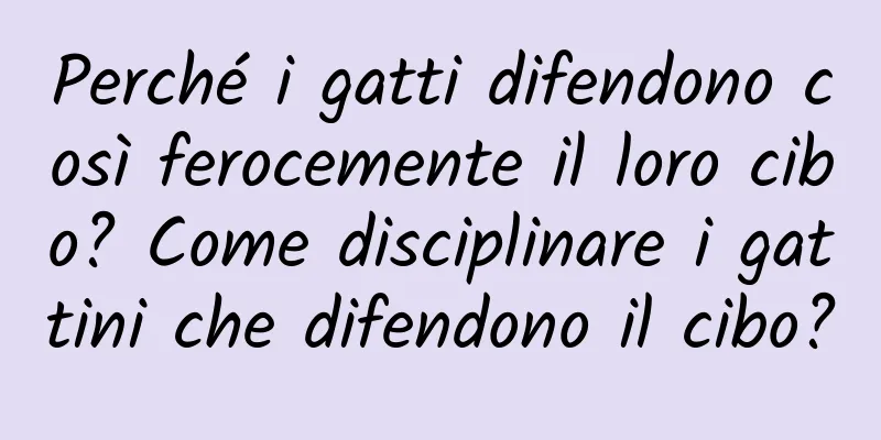 Perché i gatti difendono così ferocemente il loro cibo? Come disciplinare i gattini che difendono il cibo?