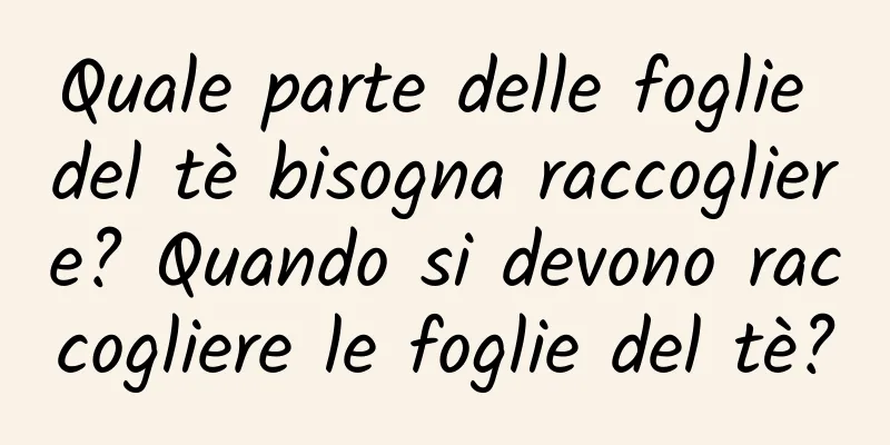 Quale parte delle foglie del tè bisogna raccogliere? Quando si devono raccogliere le foglie del tè?