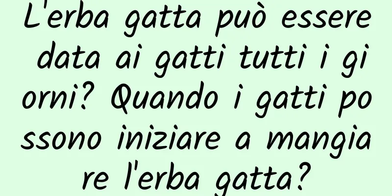 L'erba gatta può essere data ai gatti tutti i giorni? Quando i gatti possono iniziare a mangiare l'erba gatta?