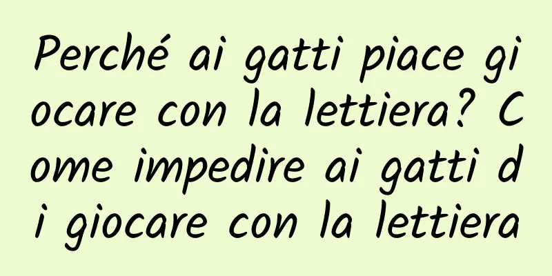Perché ai gatti piace giocare con la lettiera? Come impedire ai gatti di giocare con la lettiera