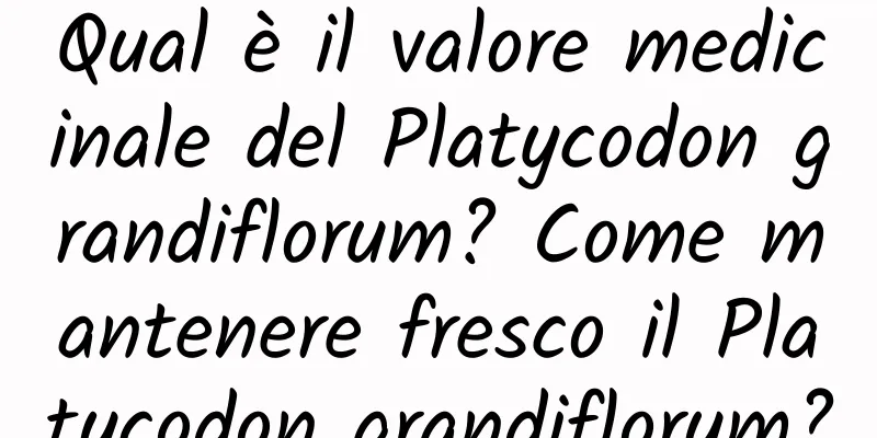 Qual è il valore medicinale del Platycodon grandiflorum? Come mantenere fresco il Platycodon grandiflorum?