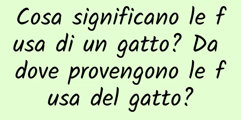 Cosa significano le fusa di un gatto? Da dove provengono le fusa del gatto?