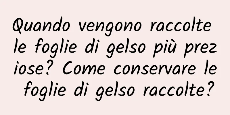 Quando vengono raccolte le foglie di gelso più preziose? Come conservare le foglie di gelso raccolte?