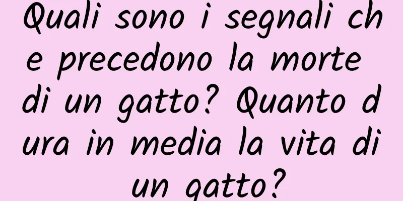 Quali sono i segnali che precedono la morte di un gatto? Quanto dura in media la vita di un gatto?