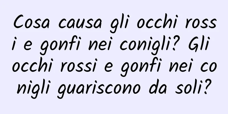 Cosa causa gli occhi rossi e gonfi nei conigli? Gli occhi rossi e gonfi nei conigli guariscono da soli?