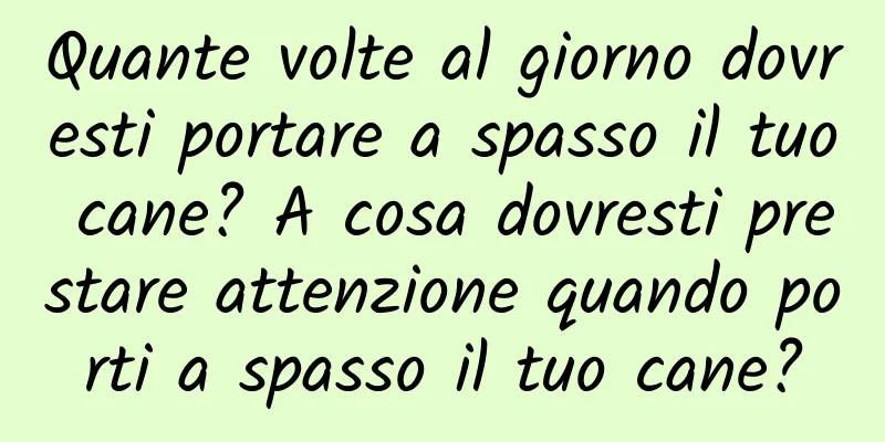 Quante volte al giorno dovresti portare a spasso il tuo cane? A cosa dovresti prestare attenzione quando porti a spasso il tuo cane?