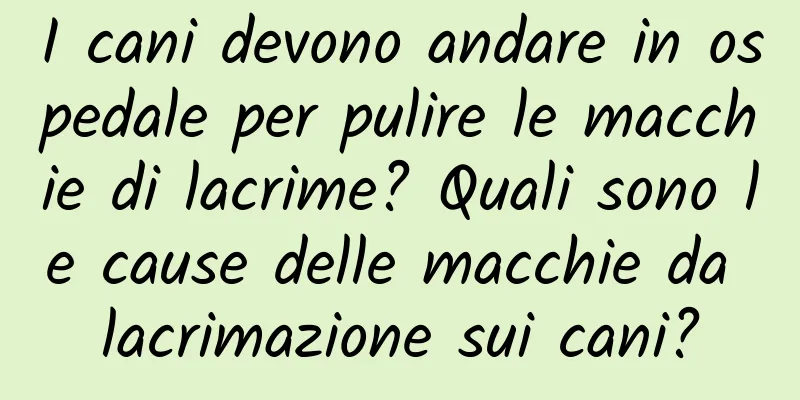I cani devono andare in ospedale per pulire le macchie di lacrime? Quali sono le cause delle macchie da lacrimazione sui cani?