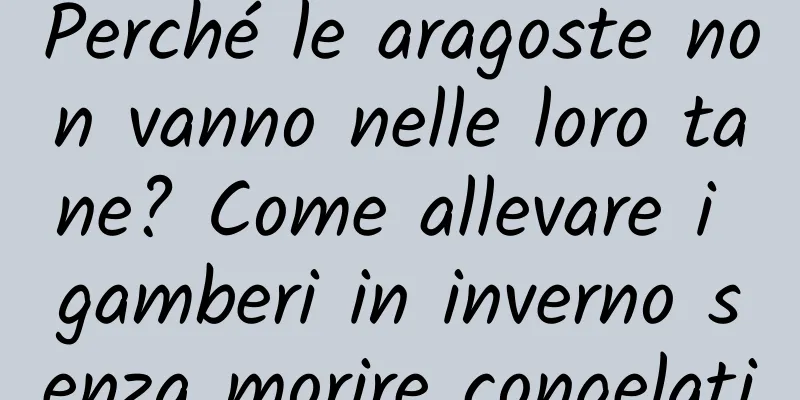 Perché le aragoste non vanno nelle loro tane? Come allevare i gamberi in inverno senza morire congelati