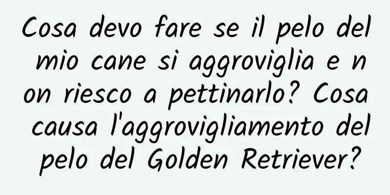 Cosa devo fare se il pelo del mio cane si aggroviglia e non riesco a pettinarlo? Cosa causa l'aggrovigliamento del pelo del Golden Retriever?