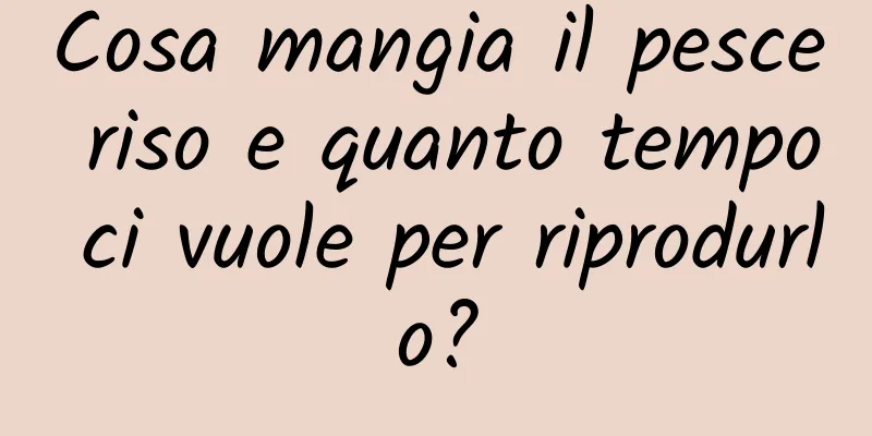 Cosa mangia il pesce riso e quanto tempo ci vuole per riprodurlo?