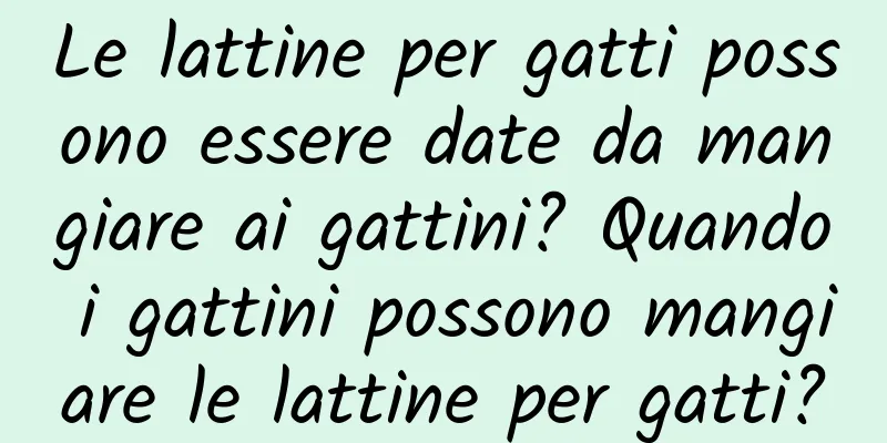 Le lattine per gatti possono essere date da mangiare ai gattini? Quando i gattini possono mangiare le lattine per gatti?