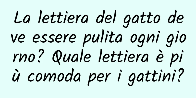 La lettiera del gatto deve essere pulita ogni giorno? Quale lettiera è più comoda per i gattini?