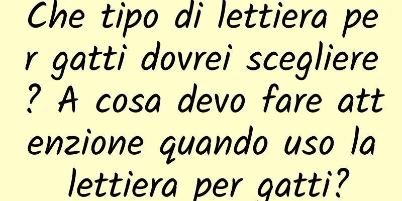 Che tipo di lettiera per gatti dovrei scegliere? A cosa devo fare attenzione quando uso la lettiera per gatti?
