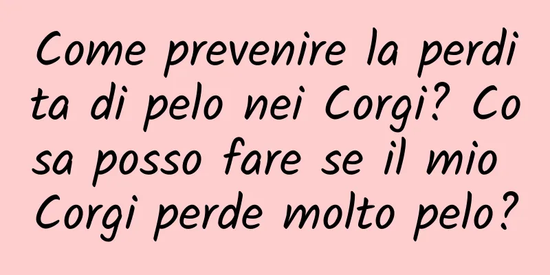 Come prevenire la perdita di pelo nei Corgi? Cosa posso fare se il mio Corgi perde molto pelo?