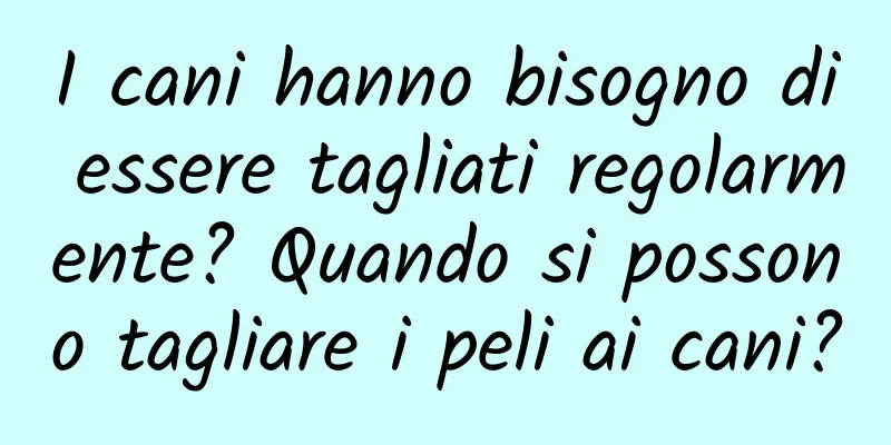 I cani hanno bisogno di essere tagliati regolarmente? Quando si possono tagliare i peli ai cani?
