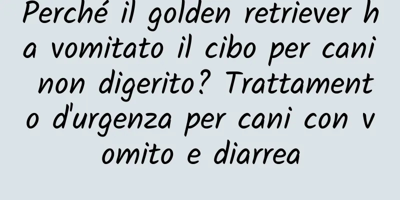Perché il golden retriever ha vomitato il cibo per cani non digerito? Trattamento d'urgenza per cani con vomito e diarrea