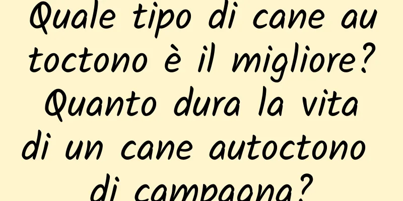 Quale tipo di cane autoctono è il migliore? Quanto dura la vita di un cane autoctono di campagna?