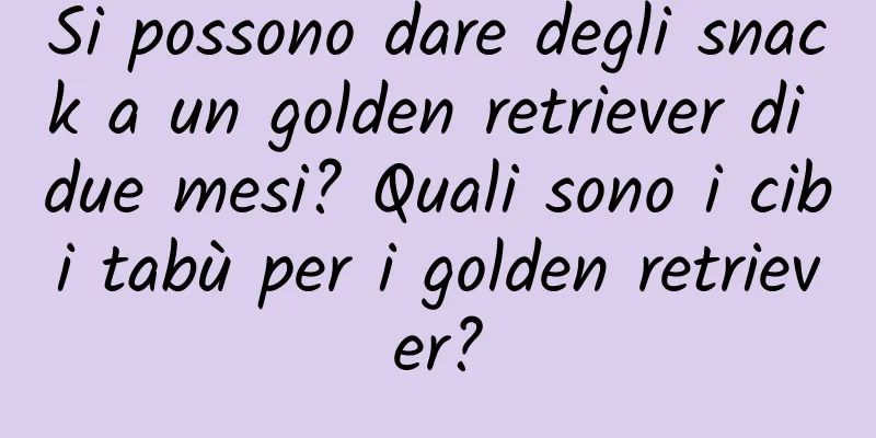 Si possono dare degli snack a un golden retriever di due mesi? Quali sono i cibi tabù per i golden retriever?