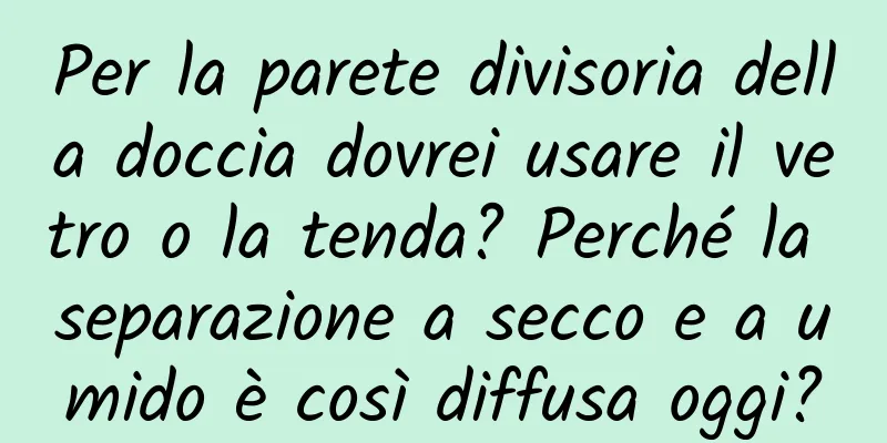 Per la parete divisoria della doccia dovrei usare il vetro o la tenda? Perché la separazione a secco e a umido è così diffusa oggi?