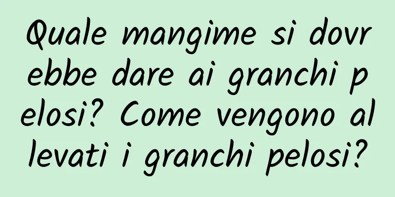 Quale mangime si dovrebbe dare ai granchi pelosi? Come vengono allevati i granchi pelosi?