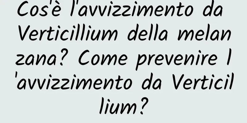 Cos'è l'avvizzimento da Verticillium della melanzana? Come prevenire l'avvizzimento da Verticillium?