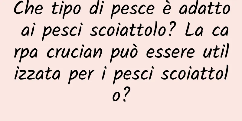 Che tipo di pesce è adatto ai pesci scoiattolo? La carpa crucian può essere utilizzata per i pesci scoiattolo?