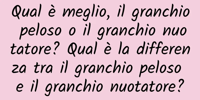 Qual è meglio, il granchio peloso o il granchio nuotatore? Qual è la differenza tra il granchio peloso e il granchio nuotatore?