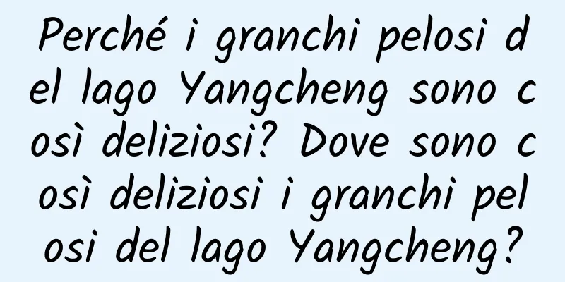 Perché i granchi pelosi del lago Yangcheng sono così deliziosi? Dove sono così deliziosi i granchi pelosi del lago Yangcheng?