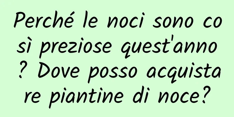 Perché le noci sono così preziose quest'anno? Dove posso acquistare piantine di noce?