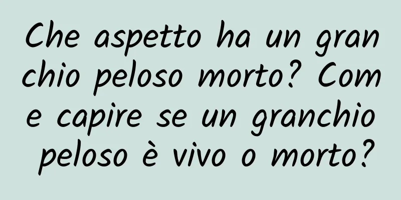 Che aspetto ha un granchio peloso morto? Come capire se un granchio peloso è vivo o morto?
