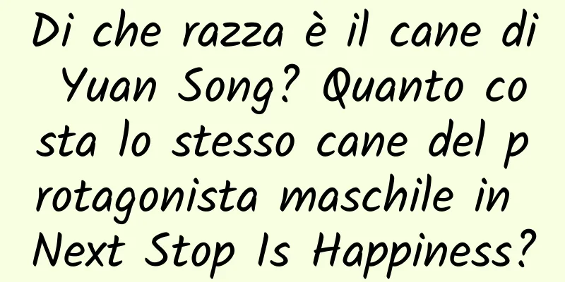 Di che razza è il cane di Yuan Song? Quanto costa lo stesso cane del protagonista maschile in Next Stop Is Happiness?