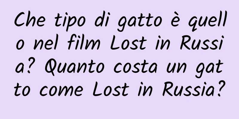 Che tipo di gatto è quello nel film Lost in Russia? Quanto costa un gatto come Lost in Russia?