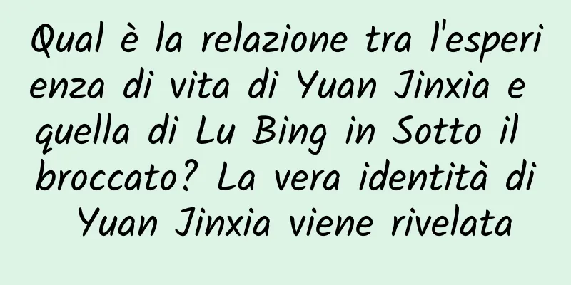 Qual è la relazione tra l'esperienza di vita di Yuan Jinxia e quella di Lu Bing in Sotto il broccato? La vera identità di Yuan Jinxia viene rivelata