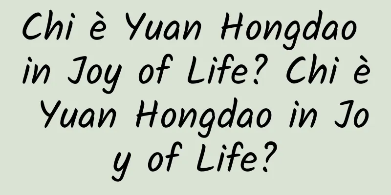 Chi è Yuan Hongdao in Joy of Life? Chi è Yuan Hongdao in Joy of Life?