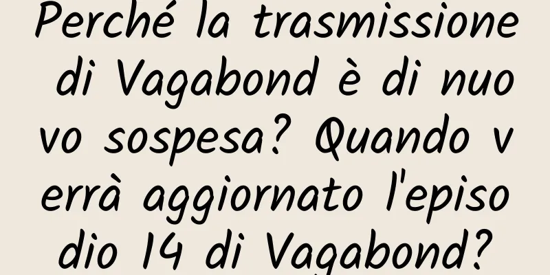 Perché la trasmissione di Vagabond è di nuovo sospesa? Quando verrà aggiornato l'episodio 14 di Vagabond?