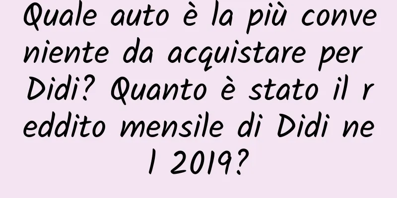Quale auto è la più conveniente da acquistare per Didi? Quanto è stato il reddito mensile di Didi nel 2019?