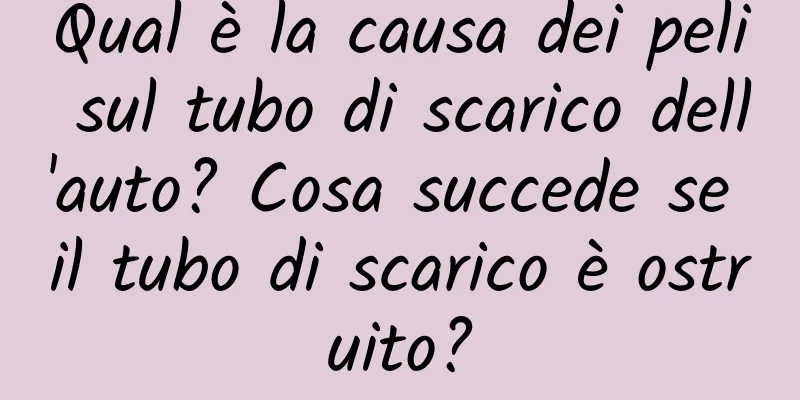 Qual è la causa dei peli sul tubo di scarico dell'auto? Cosa succede se il tubo di scarico è ostruito?