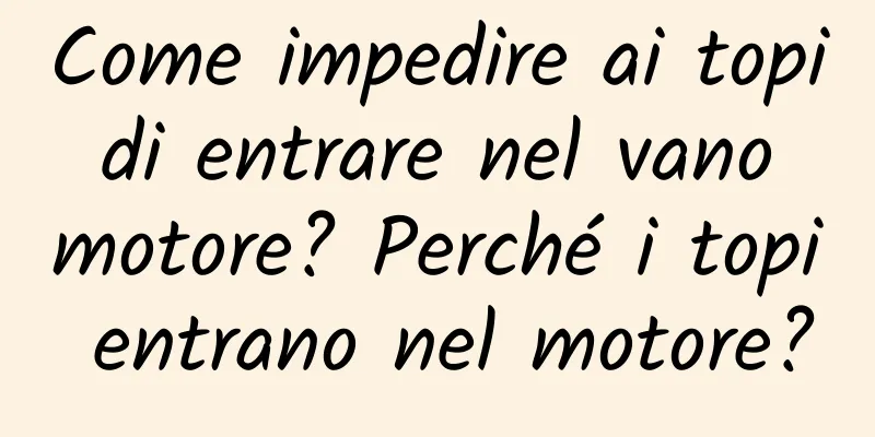 Come impedire ai topi di entrare nel vano motore? Perché i topi entrano nel motore?