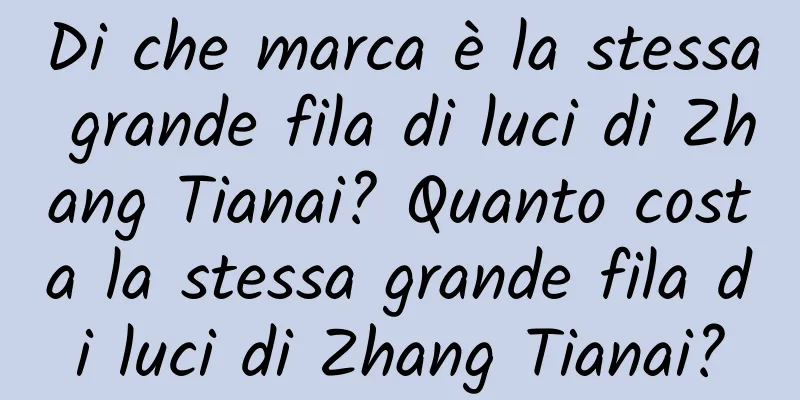 Di che marca è la stessa grande fila di luci di Zhang Tianai? Quanto costa la stessa grande fila di luci di Zhang Tianai?