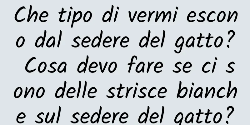 Che tipo di vermi escono dal sedere del gatto? Cosa devo fare se ci sono delle strisce bianche sul sedere del gatto?