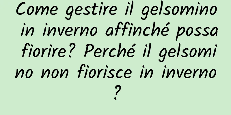 Come gestire il gelsomino in inverno affinché possa fiorire? Perché il gelsomino non fiorisce in inverno?