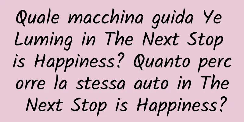 Quale macchina guida Ye Luming in The Next Stop is Happiness? Quanto percorre la stessa auto in The Next Stop is Happiness?