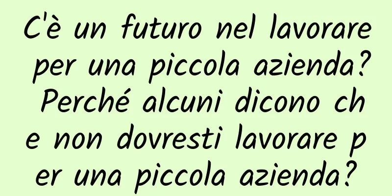C'è un futuro nel lavorare per una piccola azienda? Perché alcuni dicono che non dovresti lavorare per una piccola azienda?