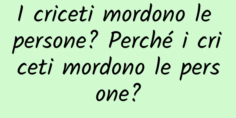 I criceti mordono le persone? Perché i criceti mordono le persone?