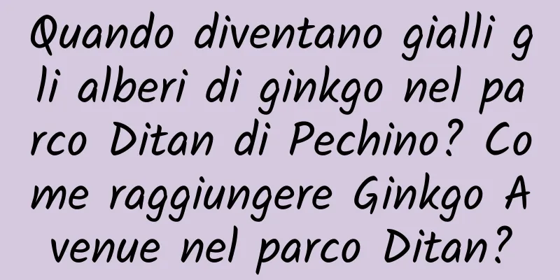 Quando diventano gialli gli alberi di ginkgo nel parco Ditan di Pechino? Come raggiungere Ginkgo Avenue nel parco Ditan?