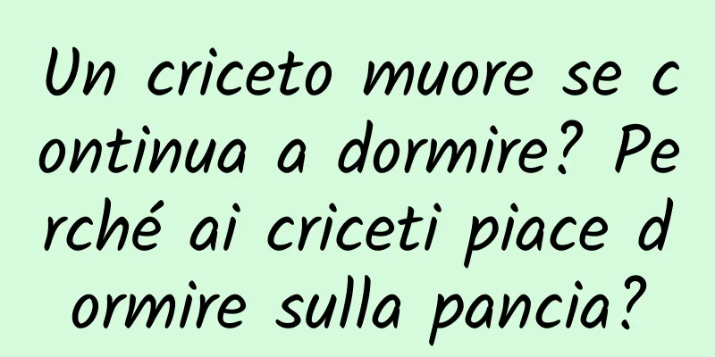 Un criceto muore se continua a dormire? Perché ai criceti piace dormire sulla pancia?