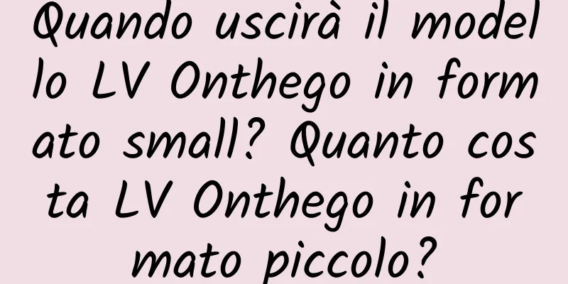 Quando uscirà il modello LV Onthego in formato small? Quanto costa LV Onthego in formato piccolo?