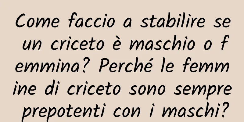 Come faccio a stabilire se un criceto è maschio o femmina? Perché le femmine di criceto sono sempre prepotenti con i maschi?